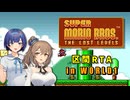 【スーパーマリオブラザーズ2】ささつづが緩く挑む区間RTA 【さとうささら＆すずきつづみプチ実況】