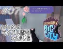 【にゃんこ実況07】魔術師登場【Little Kitty, Big City】