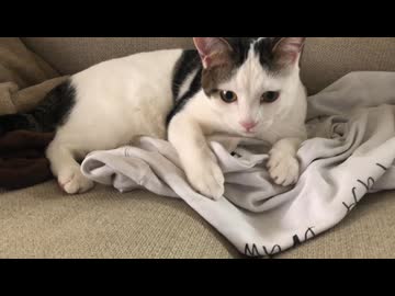 父ちゃんの匂い付きトレーナー