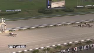第9回西日本３歳優駿（西日本地区６県交流）（地元デビュー馬） シンメデージー