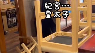 ホモと見る盛岡のアル・カポネ