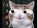 dbd　うっひょぉぉぉ！2
