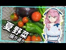 美宵のつぶやき 「夏野菜、振り返り？ あーー、うん・・・」