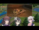 こはるりスタリオン　第81レース