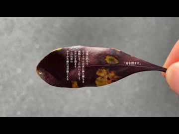 【朗読＋歌】耳を澄ます【朗読：VOICEVOX Nemo:女声2(透川ナナ)/作曲・歌：ハナウタナベ】
