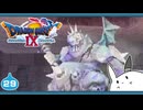 【DQ9＊実況】全力で守るために初見で大冒険！第二十九章