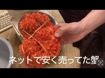 ネットで安く売ってた幻のカニ食べてみた（ハイボール）