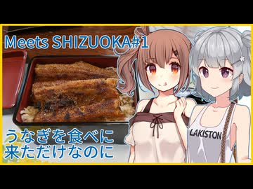 【りかささ車載】あくせらと りかささとらべりんぐ #6【Meets SHIZUOKA編 #1】