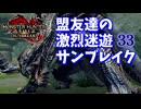 【MHRiseSB】盟友達の激烈迷遊サンブレイク#33【リベンジ・特別討究：混沌に呻くゴア・マガラ】