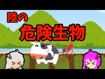 【VOICEROID解説】ゆかり先輩と見る危険生物【陸編⑲】