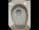 74929849929__09F47FD7-DD61-416C-AE91-7DC5E6659961