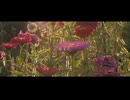 ジニア Cover / tama