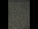 74930164444__6D829442-DA4F-45EF-84EC-8E5E463CEF31