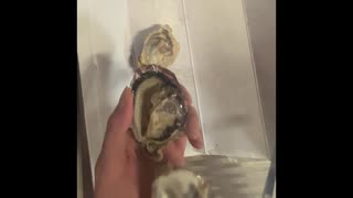牡蠣グリル　焼き