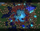 Vampire Survivors #5