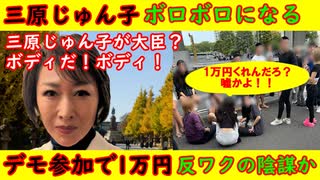 【三原じゅん子】ボロボロになる「大臣？　あり得んやろ！」【デモ参加で1万円】不可思議な騒動が発生「反ワク」の仕業か「勧ワク」か「愉快犯」か