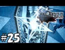 筋肉不在の旅【FF15】25