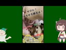【 #フクロモモンガ 】妻・娘・孫娘のカゴから帰りたくない夫！【 #おはモモンガ 】