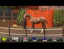【セレクトセール2024】 １日目１歳馬 上場番号181～210
