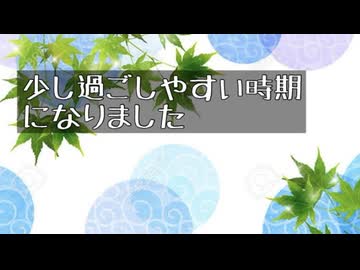 季節の変わり目ということで、近況報告です