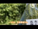 北海道日高昆布おにぎりの旅