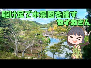 駆け足で水景園を推すセイカさん