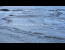 月が沈む頃に feat.知声&田中傘