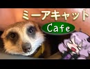 【日帰り旅行祭2024】ミーアキャットカフェで掘り掘りされよう！【VOICEROID旅行】
