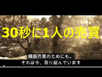 【実録】人身売買・臓器売買