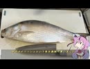珍食材が食べたい！#196 イリッシュの煮付け