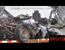 現場猫とみる 交通事故１