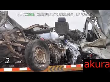 現場猫とみる 交通事故１