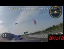現場猫とみる 交通事故2