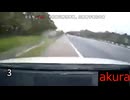 現場猫とみる 交通事故や事故4