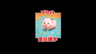 動物のおもしろ雑学36連発！