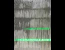 74945983731__D0CBCE9E-28EC-4C9A-B308-B2EC71165045