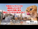 【腸チフスのメアリー】無症状のまま51人を感染！？ある女性が起こしたパンデミック #猫マニ #猫ミーム