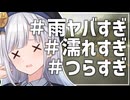 雨の中ヒルクライムってマジ？赤城ヒルクライム2024！│りりせライド！【彩澄りりせ】