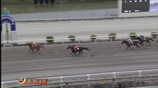 2024年9月28日高知競馬4R 株式会社グランディール協賛　グランディールレディスシリーズ ミラク特別(準重賞・牝馬) グレートヒエン