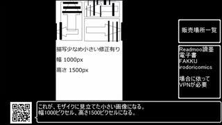 【biimシステム拝借】同人誌を無修正に貼りかえる方法発見した【描写に差が有る場合】
