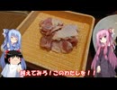 琴葉姉妹と行く釣行記録（ゲーム編part58）