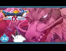 【DQ9＊実況】全力で守るために初見で大冒険！第三十二章