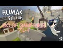 ふゅーまんふぉーるふらっと実況プレイ動画