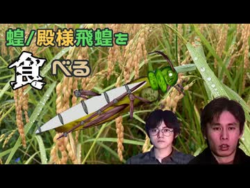 【五軍淫夢】蝗　品　位　粗　食【秋のグルメ淫夢投稿祭】