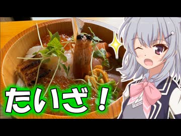 りっかのプチ旅行「海の京都で海鮮丼とクソデカと！！」【小春六花】