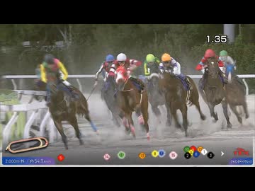 2024 ジャパンダートクラシック やはりこの馬は強かった！