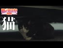 【日帰り旅行祭202４】猫【なにこれ】