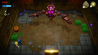 【ゼルダの伝説 知恵のかりもの】ニセモノの夜に、月はカガヤクのか。【part8】