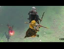 【ティアキン】依頼を受けて、ＮＰＣに幹部が使う土遁の術を回避させてみた【ドリカラ】【ボイスピ実況,ゼルダの伝説,ティアーズオブザキングダム,TotK,バグ,検証 】