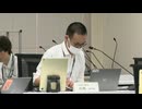 第20回特定原子力施設の実施計画の審査等に係る技術会合(2024年06月20日)